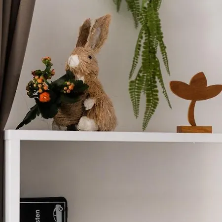 Stylowy W Historycznej Czesci Gdanska Apartmán *